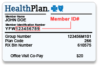 Group Number On Insurance Card Iehp : Request an ID Card ...