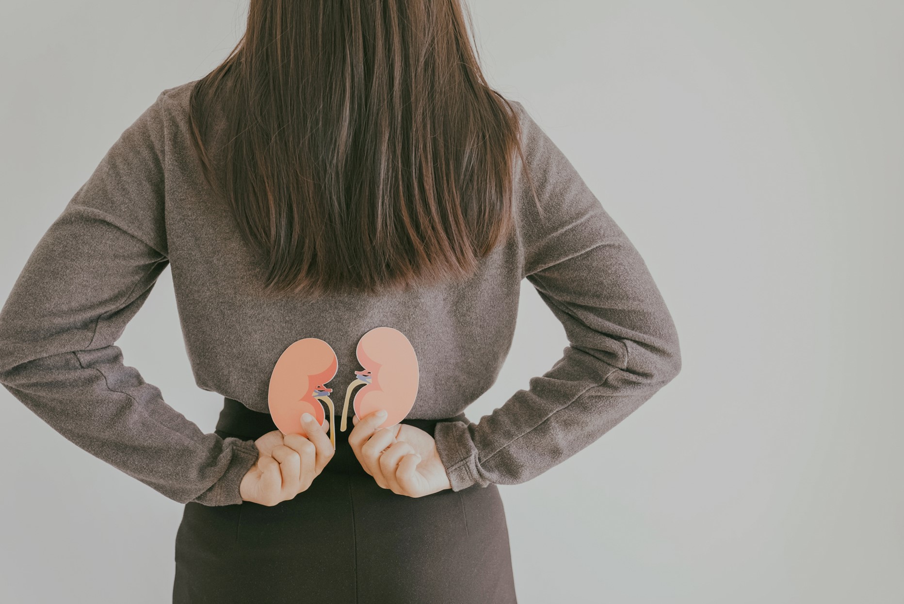 person holding diagram of kidneys on lower back to demonstrate organ placement on human body.