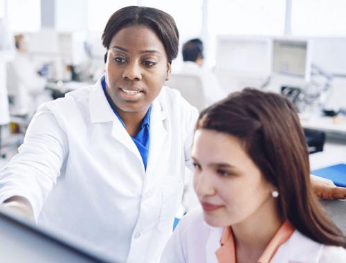 Experienced pharmacists working together on a computer
